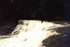 Dawson Fall