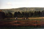 Wells Grey Guest Ranch