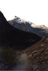 Mt. Edith Cavell