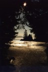 Trails bei Tofino