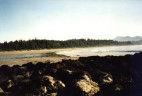 Trails bei Tofino