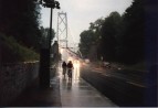 Lions Gate Bridge