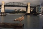 False Creek Inlet