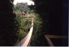 Capilano Suspension Bridge