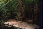 Capilano Park