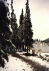 Moraine Lake