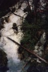 Cave and Basin