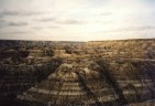 Horse Thief Canyon