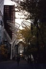 Stephen-Avenue