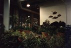 Devonian Gardens