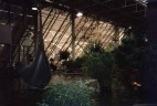 Devonian Gardens