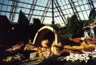 Muttard Conservatory