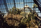Muttard Conservatory