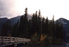 Insel im Pyramid Lake