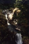 Little Qualicum Falls